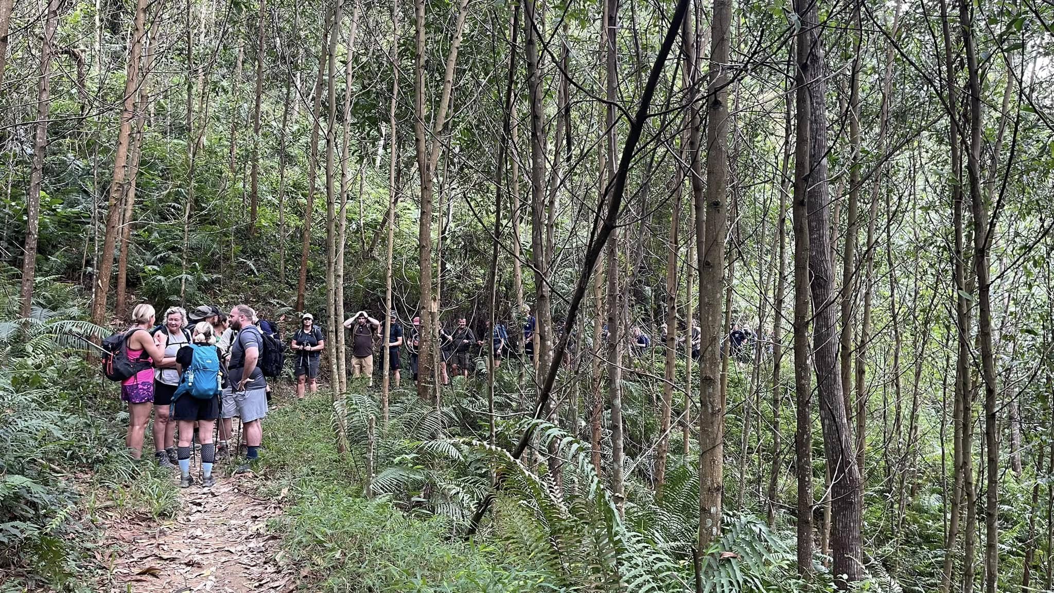 Sapa 1-Day Trek: Deep Immersion Hike through Y Linh Ho Mong, Lao Chai San & Ta Van